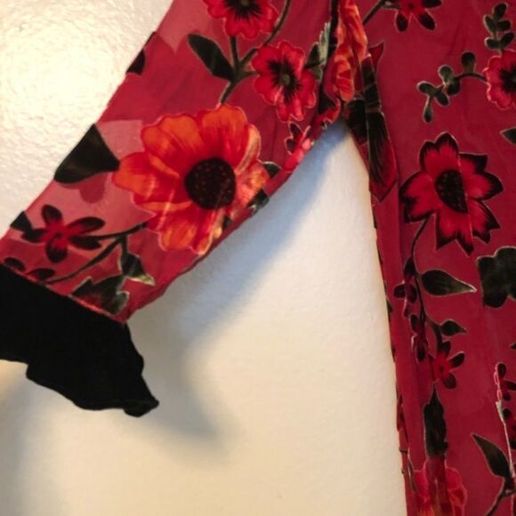 VINTAGE Silk  Velvet Victorian Dress - Picture 4 of 5